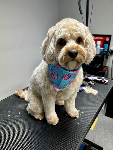 Fur-Ever Friends Spaw