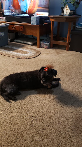 Fur-Ever Friendz LLC