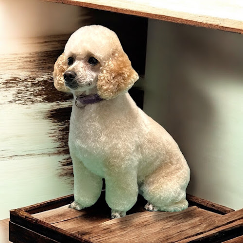 Fur Fabulous Pet Spa & Mobile