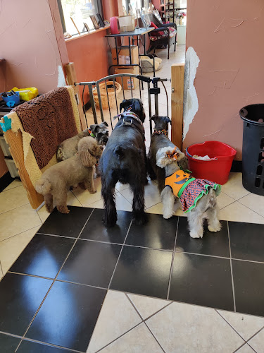 Fur Friends Pet Salon