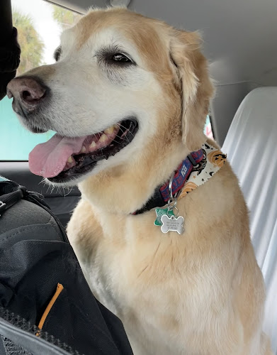 Fur Shore Dog Grooming, LLC