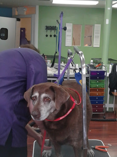 Fur Street Pet Salon And Daycare