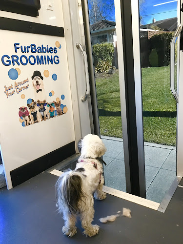 FurBabies Mobile Grooming