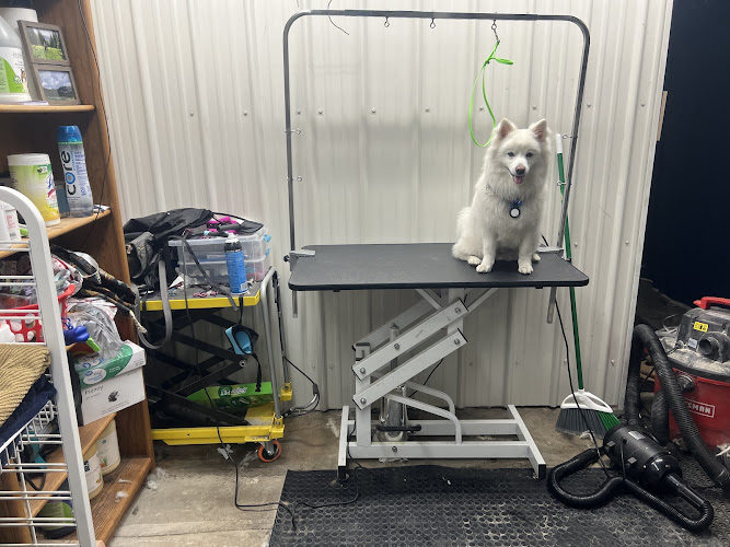 Furballs & Feathers LLC