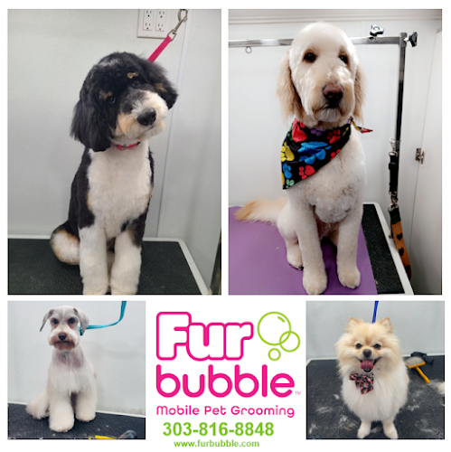 Furbubble Mobile Dog Grooming
