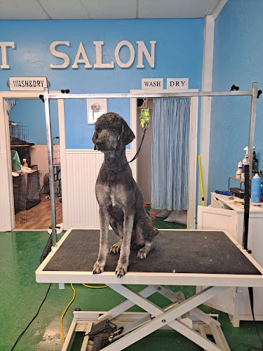 Furever Clean LLC " Your Mobile Grooming Solution" and Pet Salon