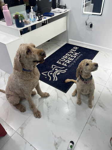 Furever Fresh Dog Grooming