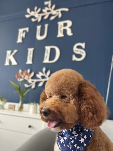 Furkids Pet Grooming - Salon and Mobile Pet Grooming