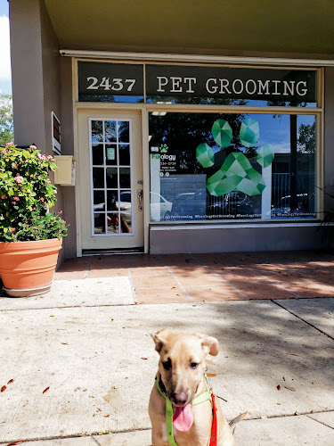 Furology Pet Grooming
