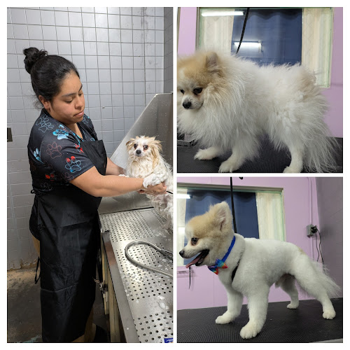 Furr Paradise Grooming and Daycare LLC