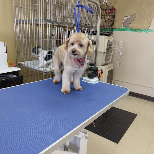 Furr Paradise Santa Ana,LLC