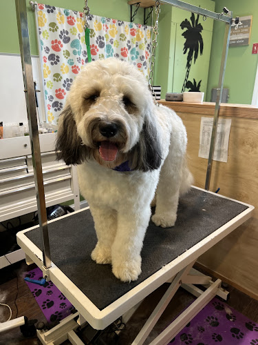 Furry Friends Oasis in NH