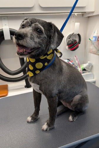 Furry Land Albuquerque-Santa Fe