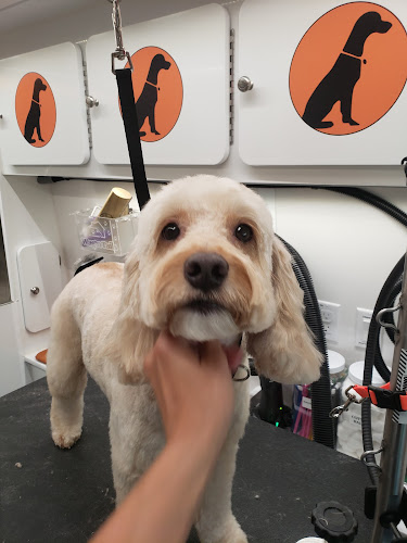 Furry Land Cincinnati