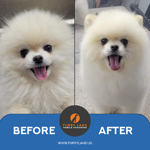 Furry Land Mobile Grooming Central & Northern New Jersey