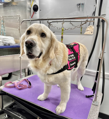 Furry Land Mobile Grooming Corpus Christi