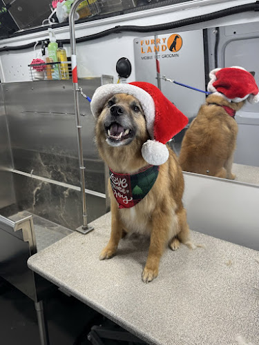 Furry Land Mobile Grooming Denver
