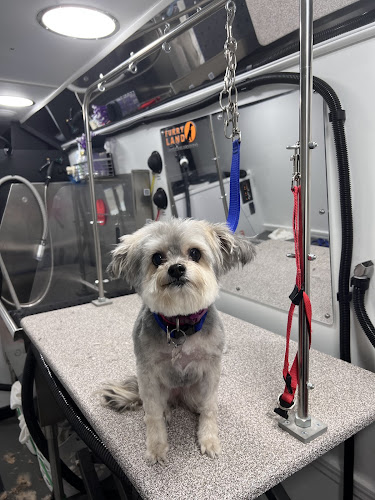 Furry Land Mobile Grooming Oklahoma City