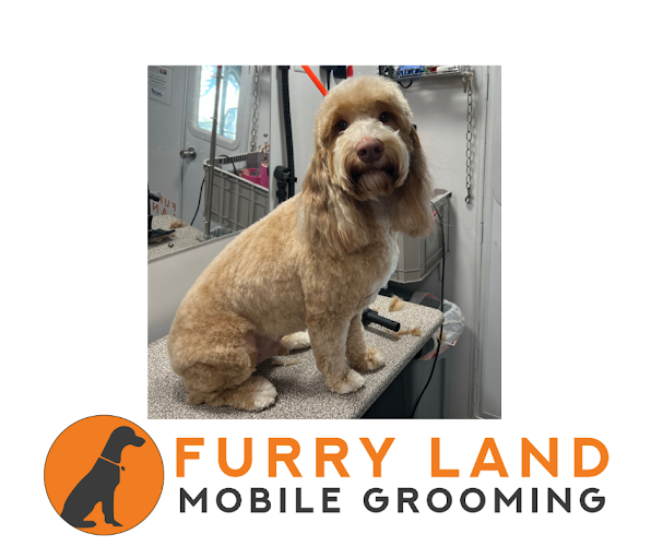 Furry Land Of Colorado Springs