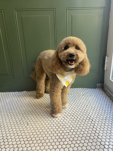 Furry N' Fabulous Lower East Side