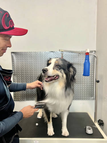 Furry Rascals Grooming