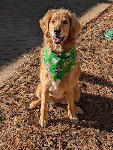 Furside Pet Grooming