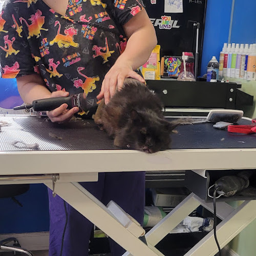 Fuzzy Feet Pet Salon