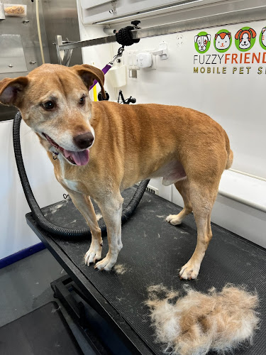 Fuzzy Friends Mobile Pet Spa