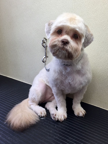 Gagnon's Pet Grooming