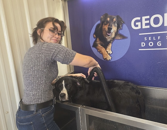 George's Dog Wash