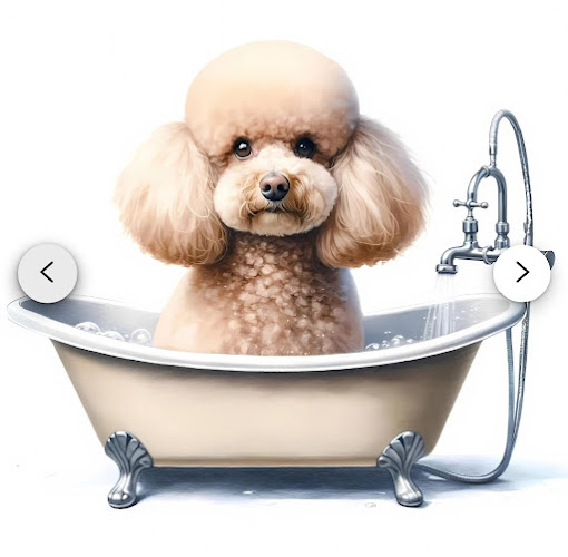 GG"S Pet Spa & Boarding