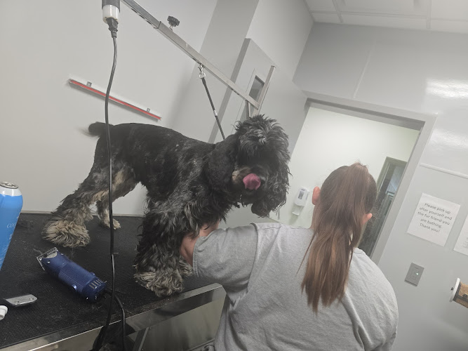 Glamorous Furs 🩷 Paws & Spa