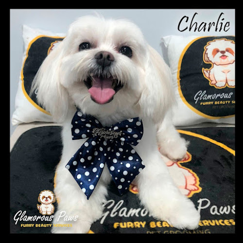 Glamorous Paws pet Grooming