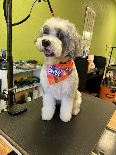 Glamour Paws Pet Salon