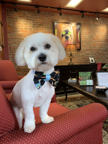 Glamour Pet Salon & Spa