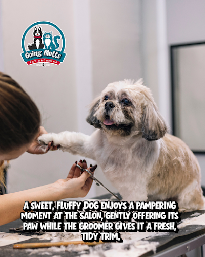 Going Mutts Pet Grooming