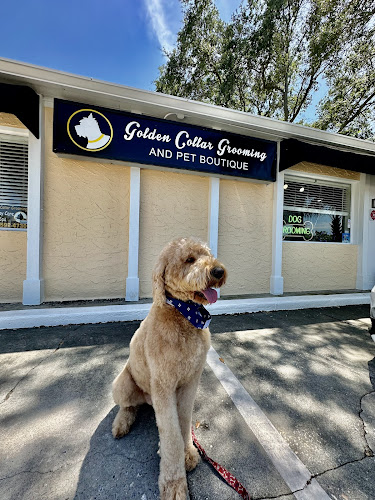 Golden Collar Grooming