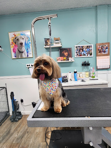 Golden Spots Pet Grooming and Suites