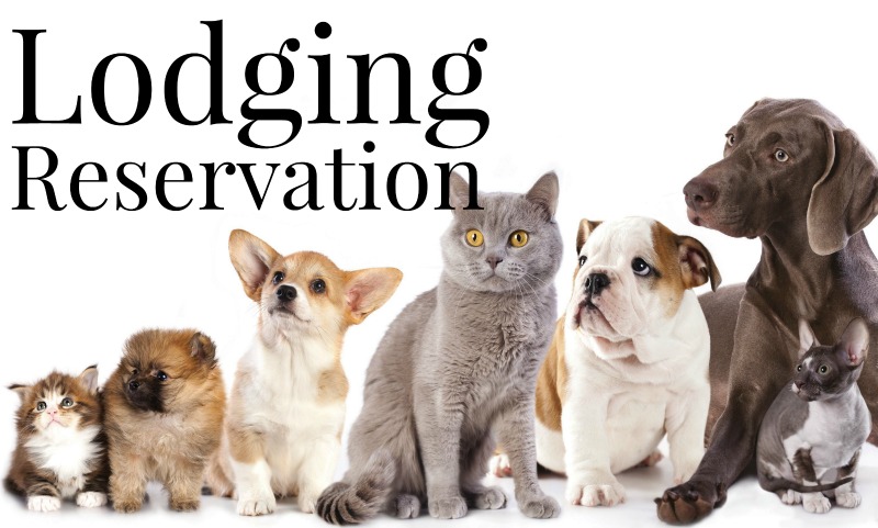 Golf Rose Pet Lodge and Grooming