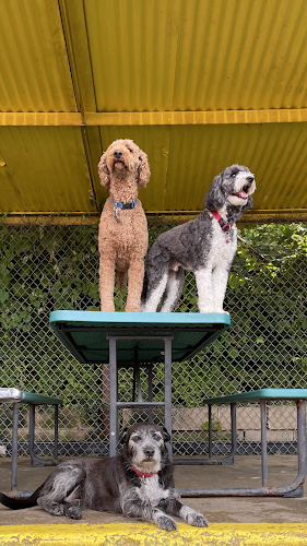 Good Doggie Day Care Inc