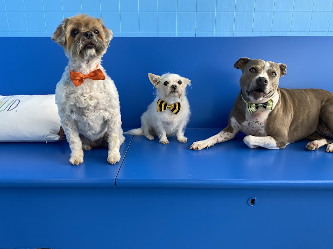 Good Graces Grooming