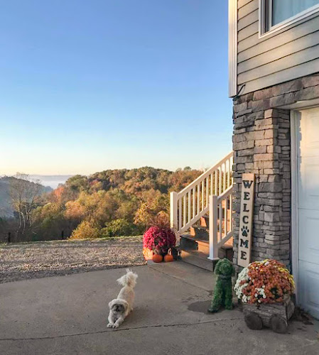 Grand By Design Grooming & Boarding