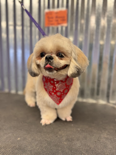 Grand Central Pet Grooming