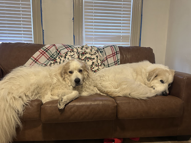 Grand Champion Grooming, LLC.