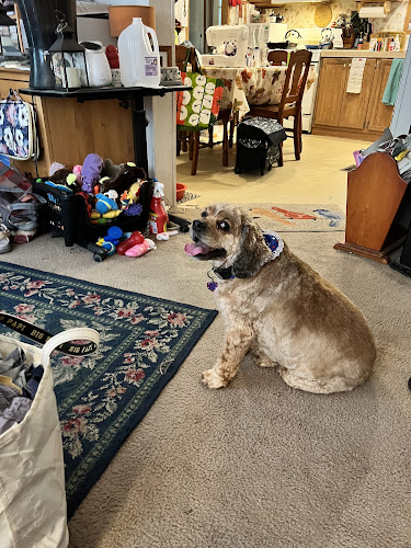 Grand Paws Pet Salon