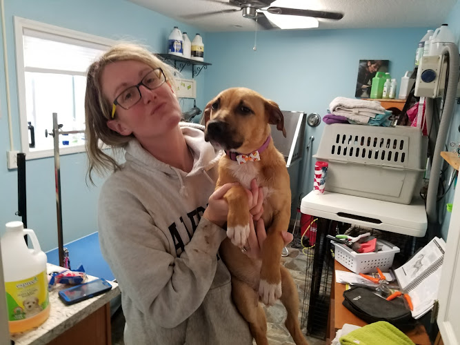 Grand View Canine Care Inc