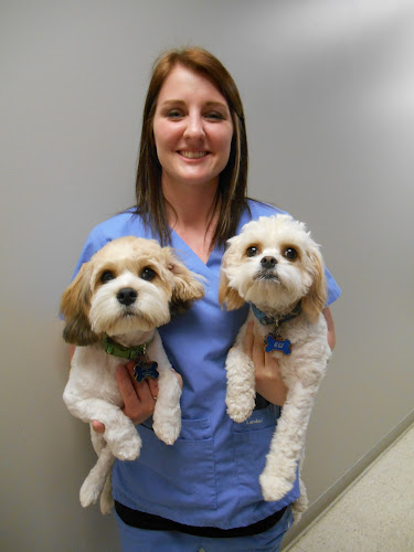 Granite City Pet Hospital