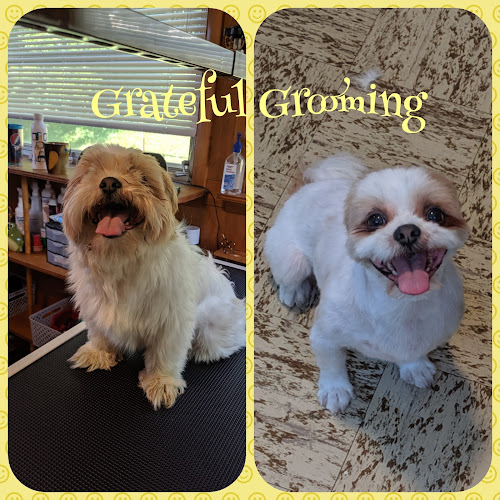 Grateful Grooming
