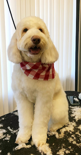 Grateful Pet Grooming Salon