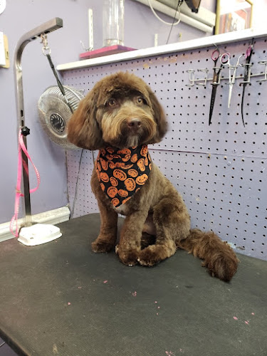 Grateful Pets Grooming & Boarding